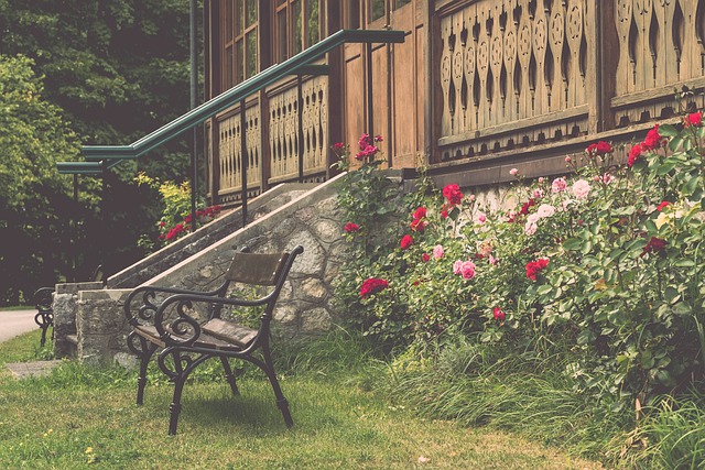 赛积分榜 赛积分榜