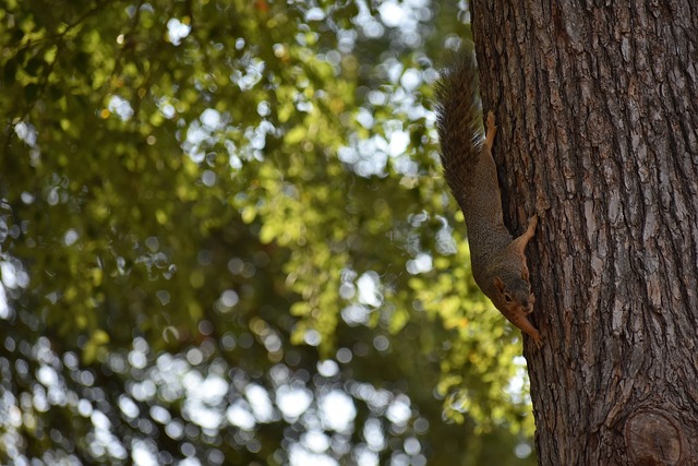 更高效地实 更高效地实